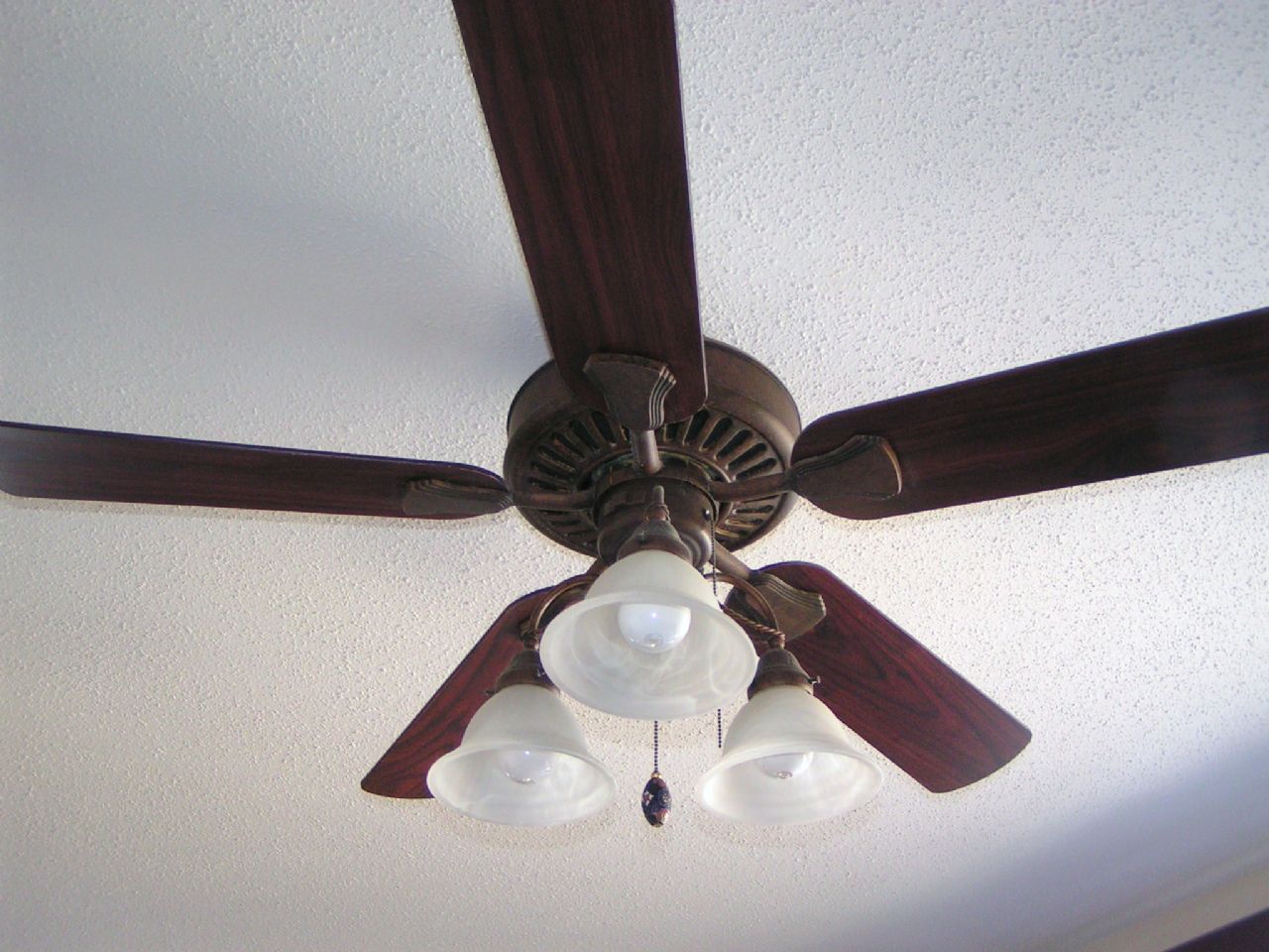 ceiling fan above dining table